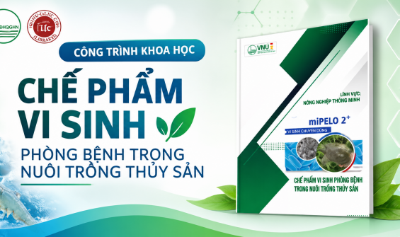 CHẾ PHẨM VI SINH THÔNG MINH PHÒNG BỆNH TRONG NUÔI TRỒNG THUỶ SẢN